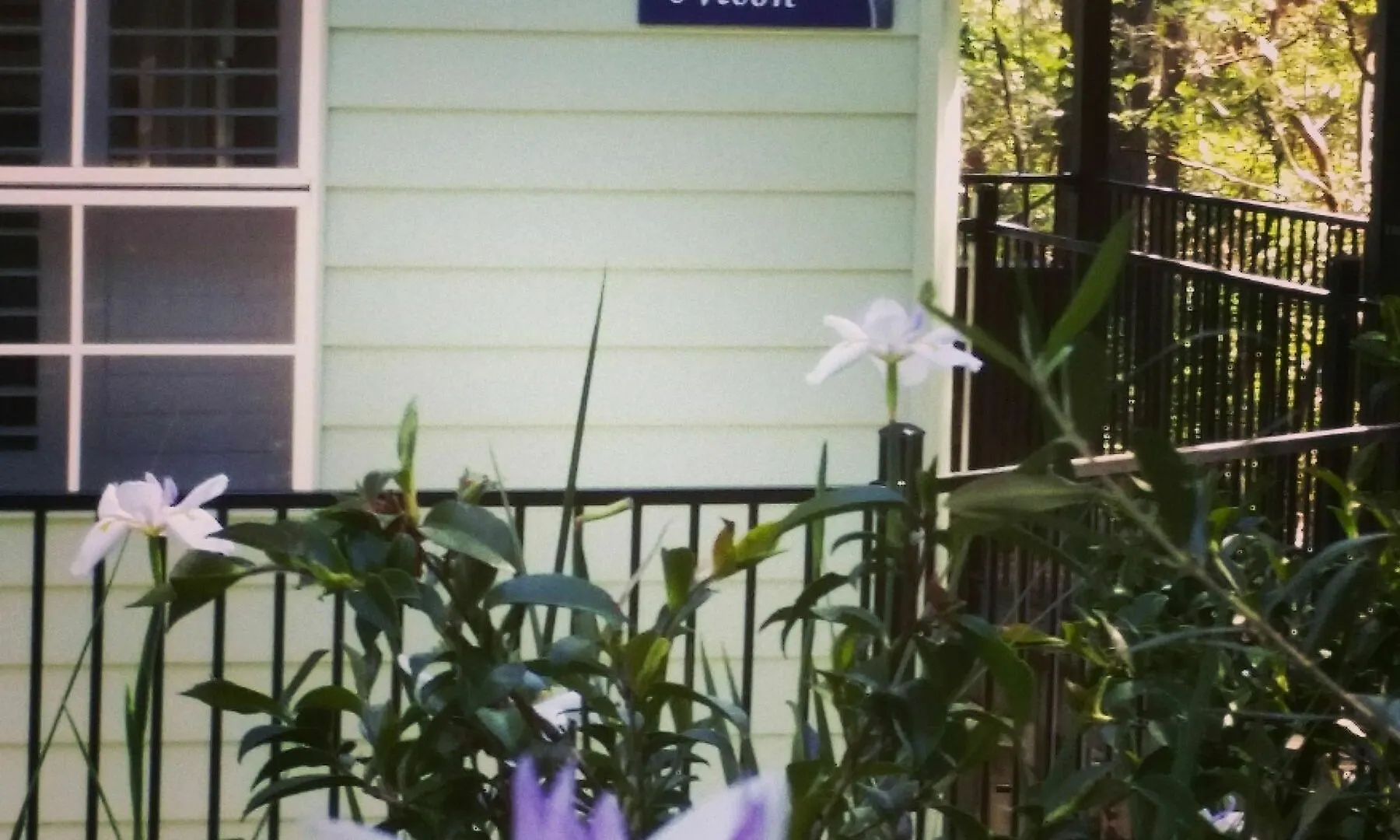 Amytis Gardens Retreat Spa And Cooking School الكسندرا هيدلاند